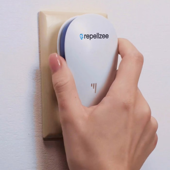 Plug RepellZee into a wall socket